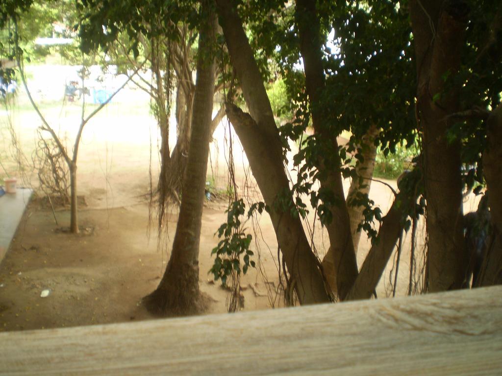 Hotel Pearl Gate Chilaw Exteriör bild